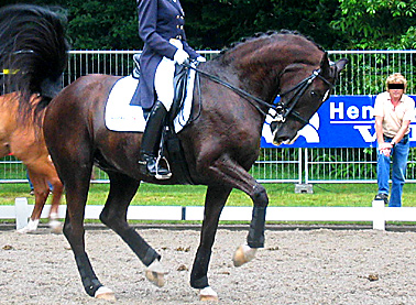 A top rider in the warm-up arena