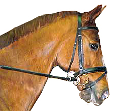 Overly-tight neopren-padded crank noseband with a flash extension