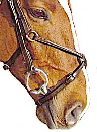 A grackle or figure-8 noseband