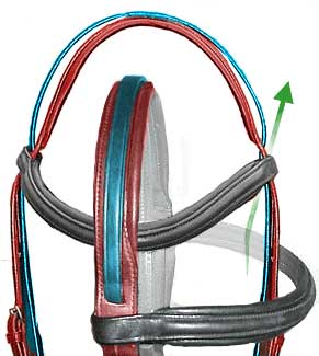 Some brand of Comfort Bridle