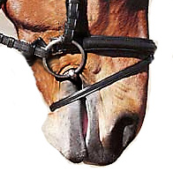 A snaffle fitted too high causes wrinkles that can rub and chafe