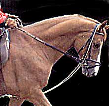 Rubberband Neck Extender - the horse breaking at the 3rd vertebra