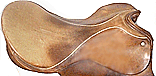 The seatbones mark the saddle seat